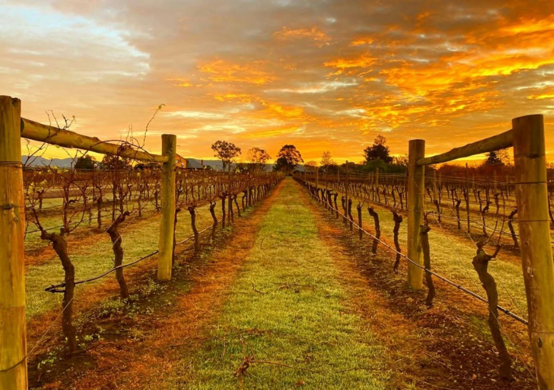 Tranquil Vale Cottages