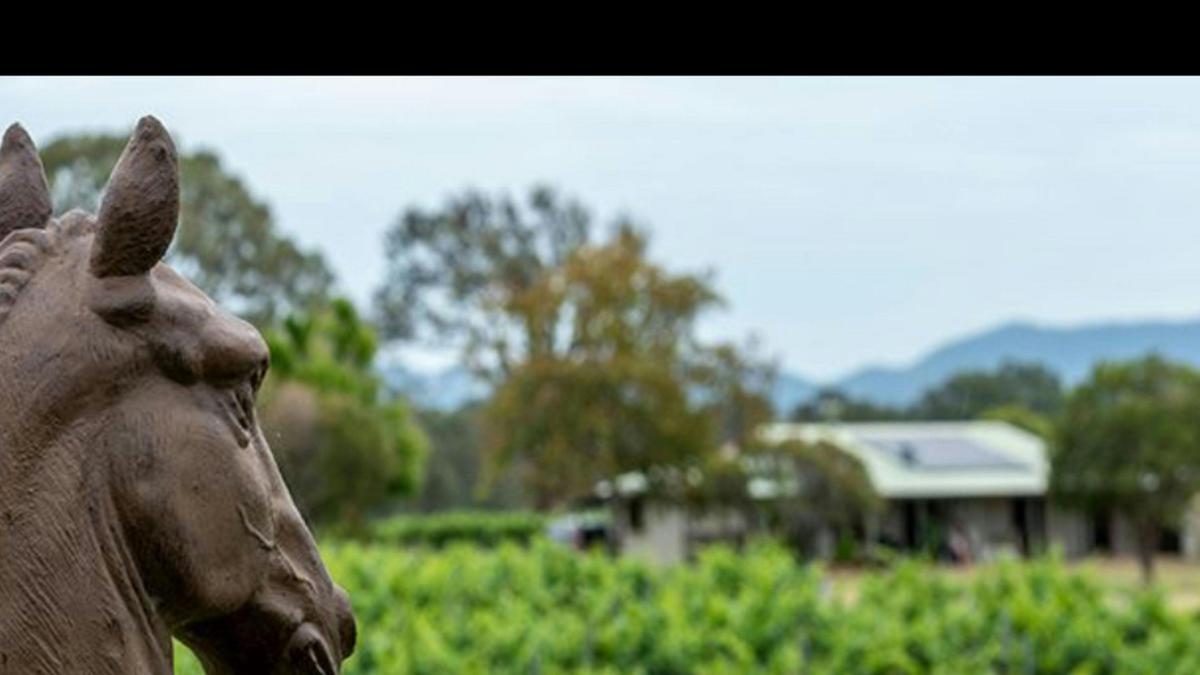 Trinity Vineyard - Hunter Valley