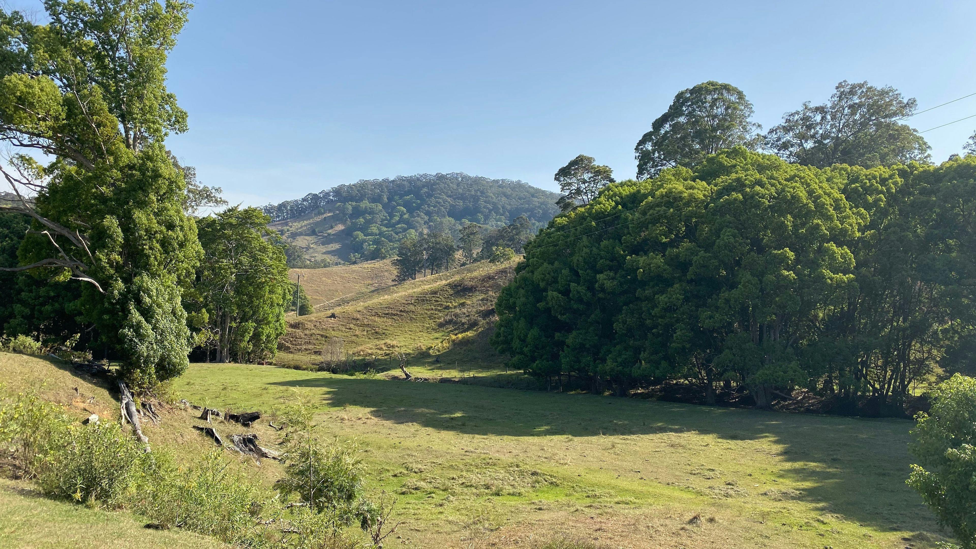 CLICK TO VIEW GALLERY