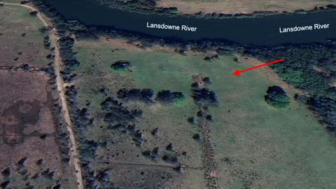 Youngster’s Paddock