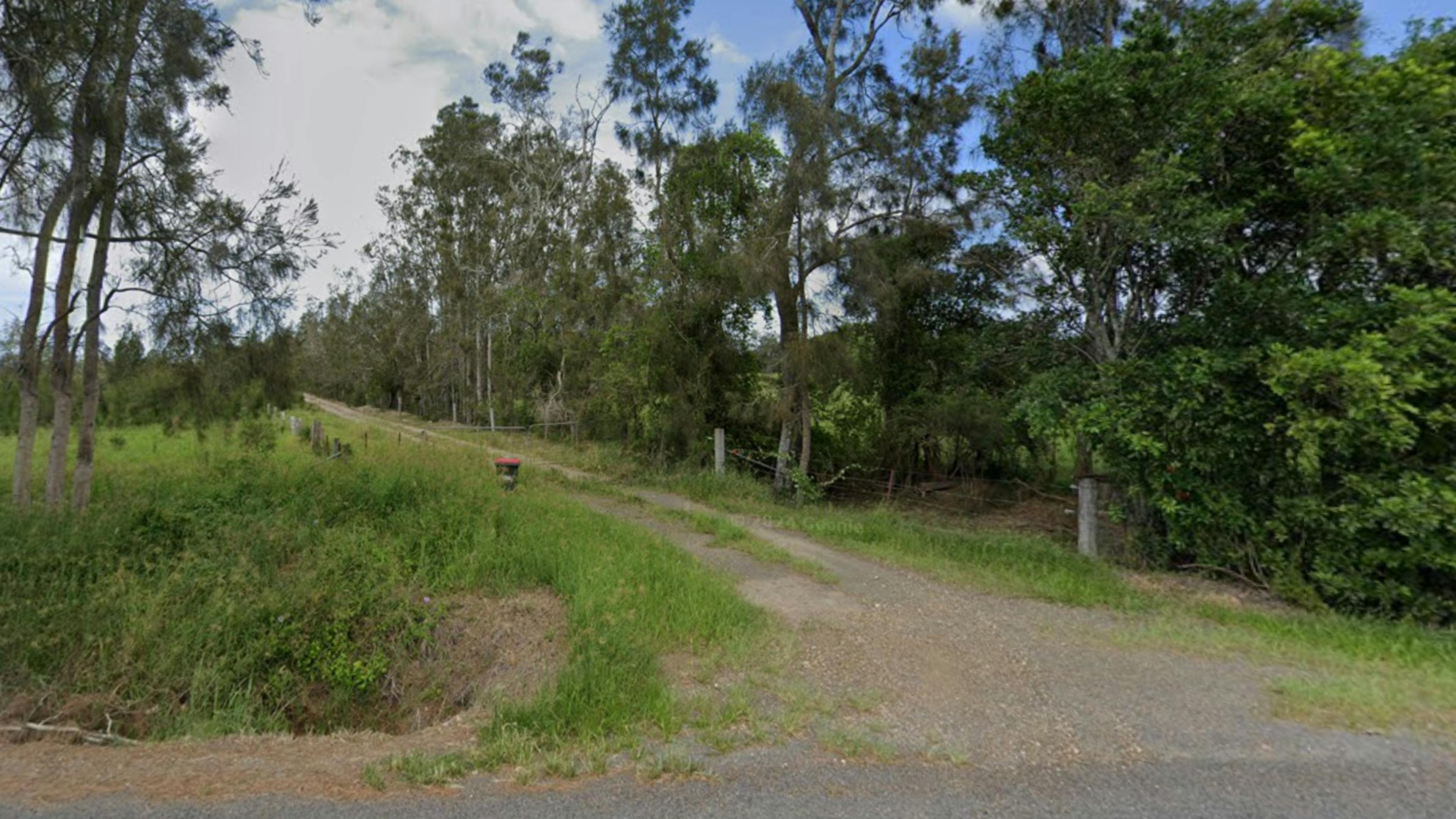 Youngster’s Paddock