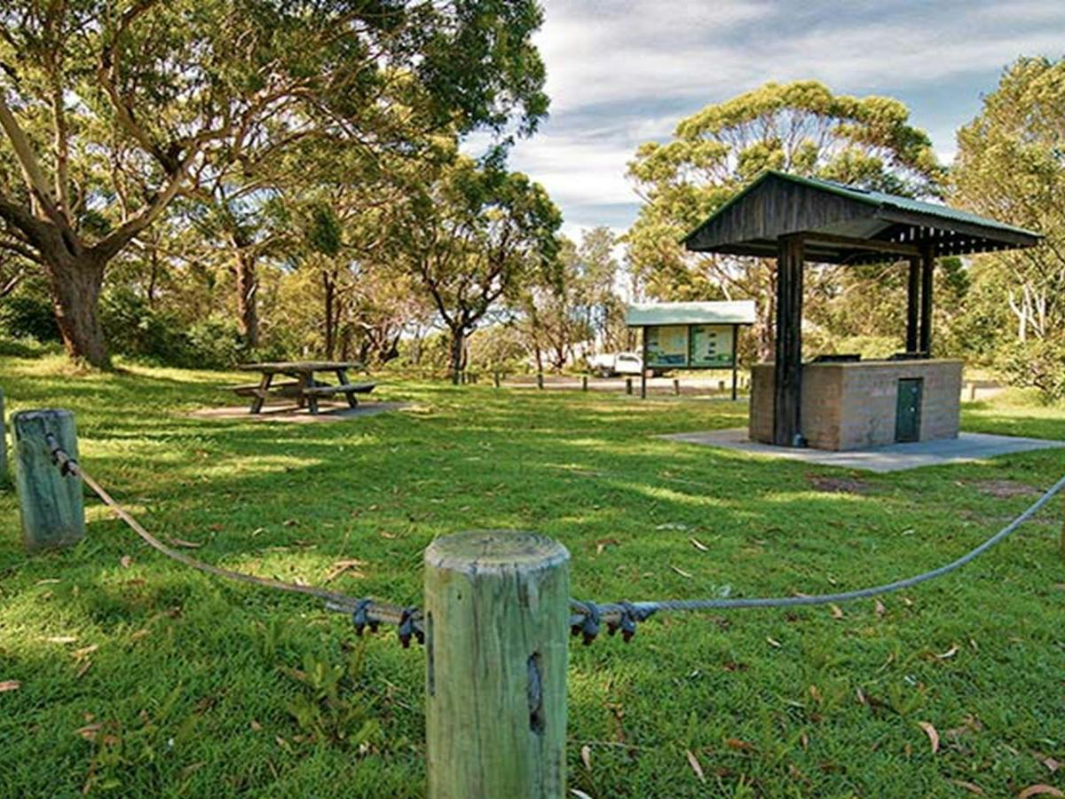 Yagon campground, Myall Lakes National Park. Photo: John Spencer/NSW Government