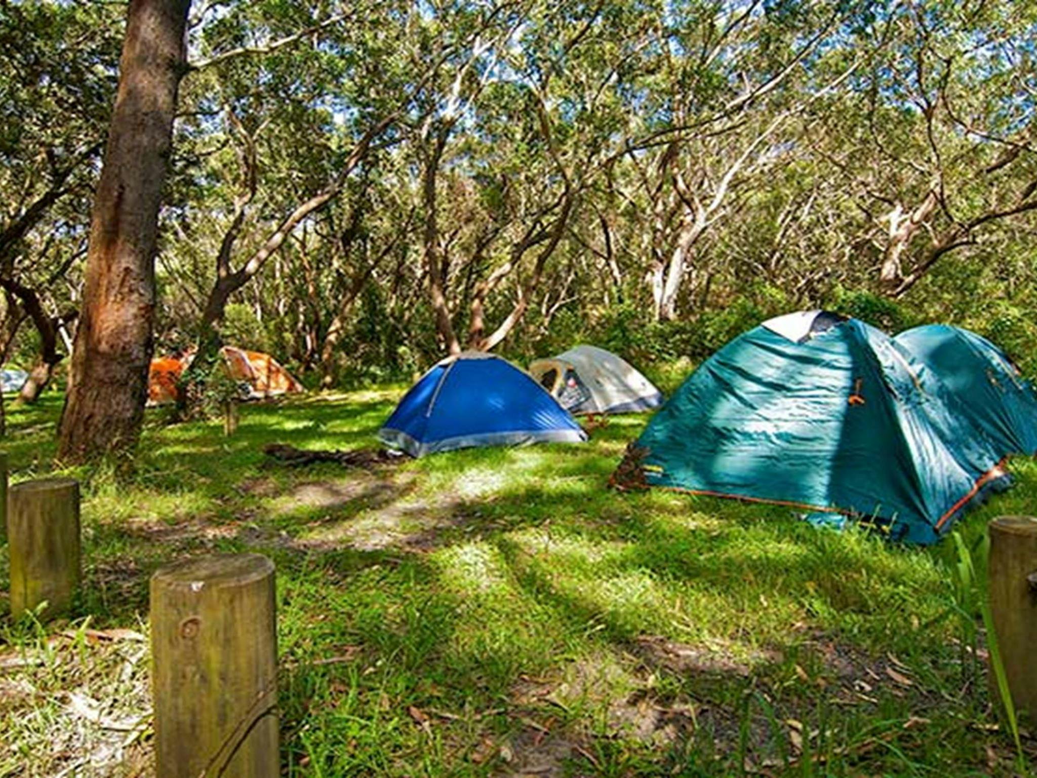 Yagon campground, Myall Lakes National Park. Photo: John Spencer/NSW Government