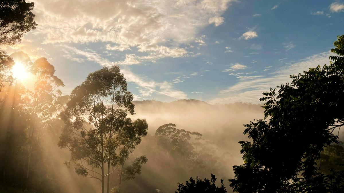 Yagaari Mountainside Sanctuary