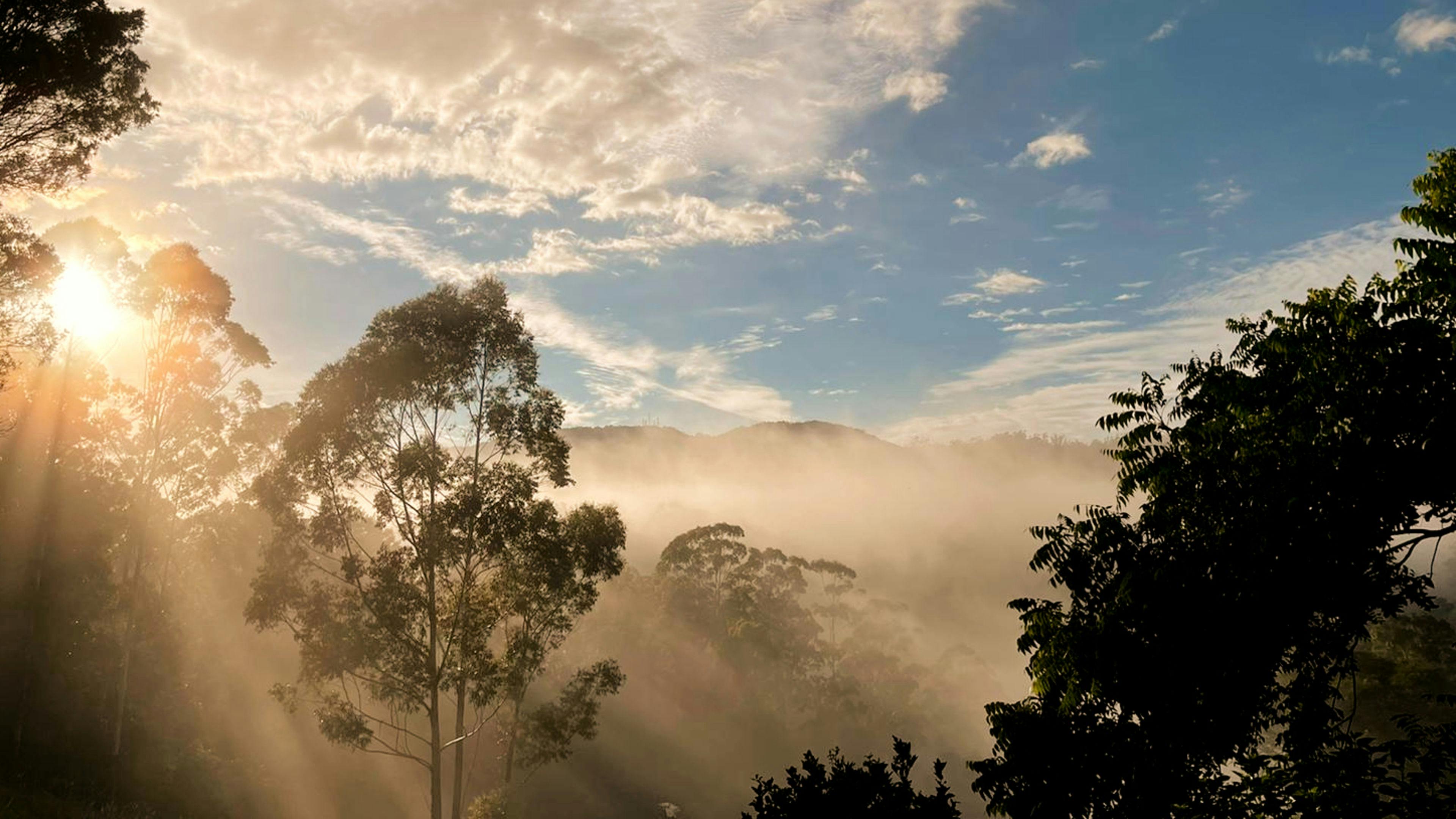 Yagaari Mountainside Sanctuary