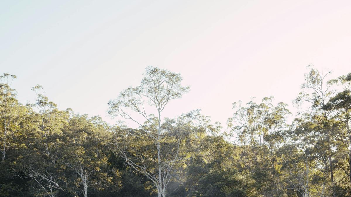 Yagaari Mountainside Sanctuary