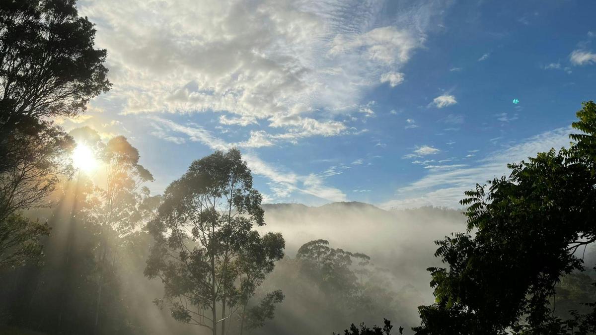Yagaari Mountainside Sanctuary