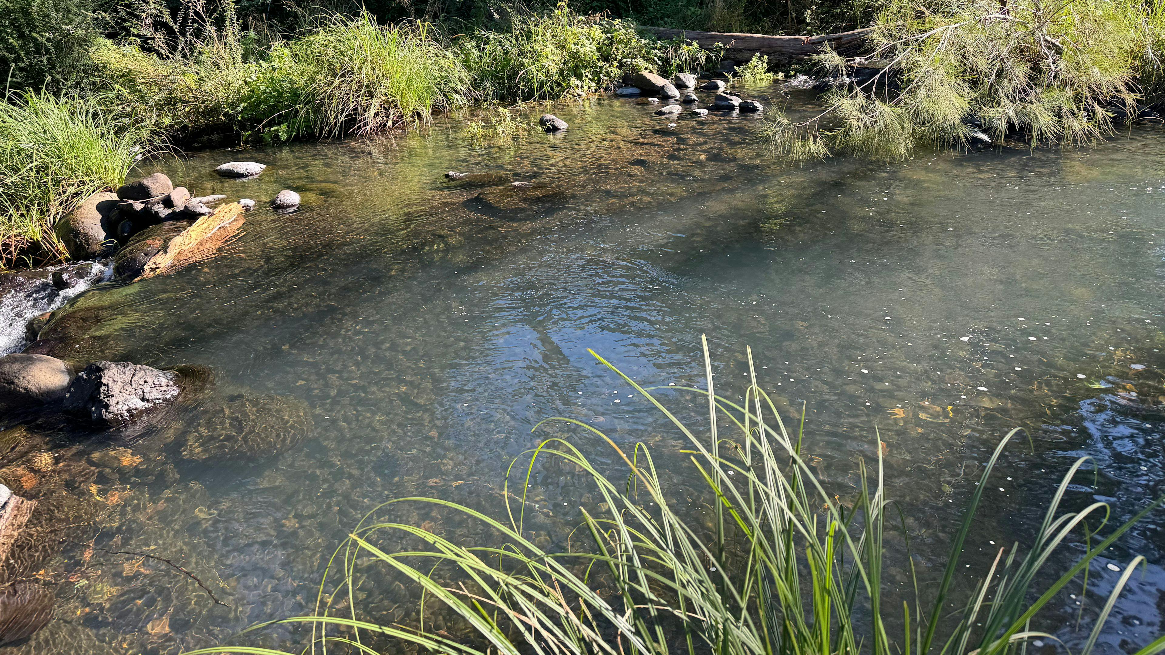 Warrazambil Creek Camp