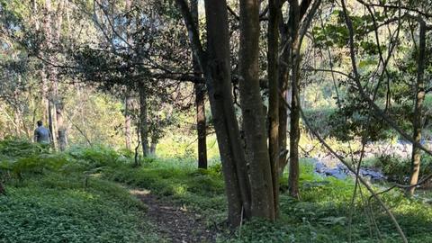 Warrazambil Creek Camp