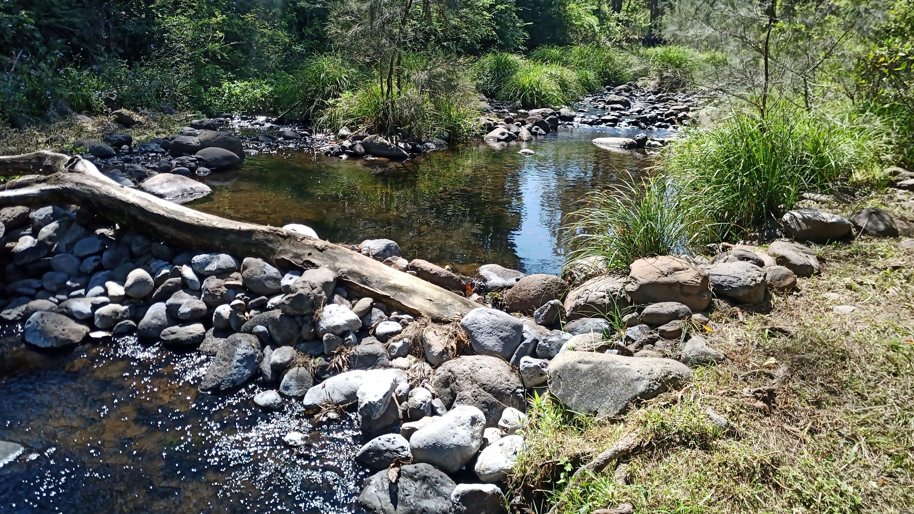 Warrazambil Creek Camp