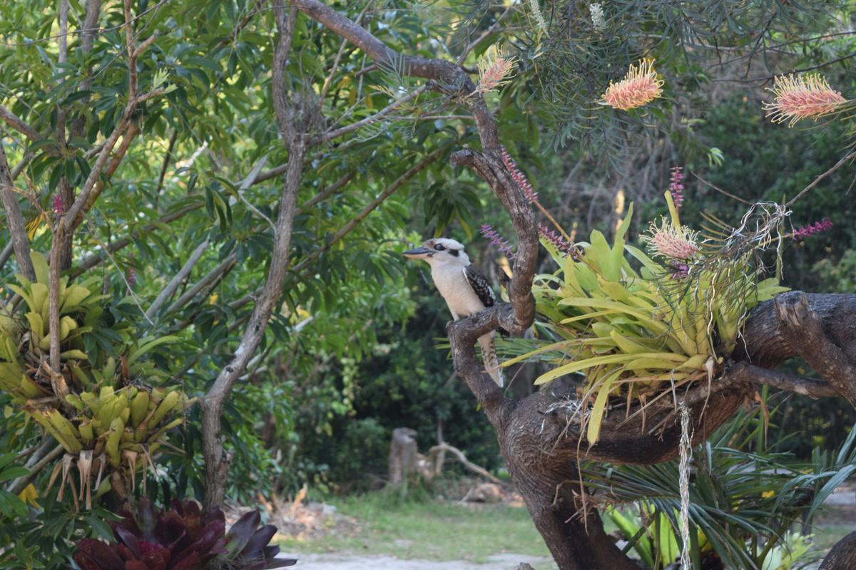 Beautiful gardens and spectacular wildlife