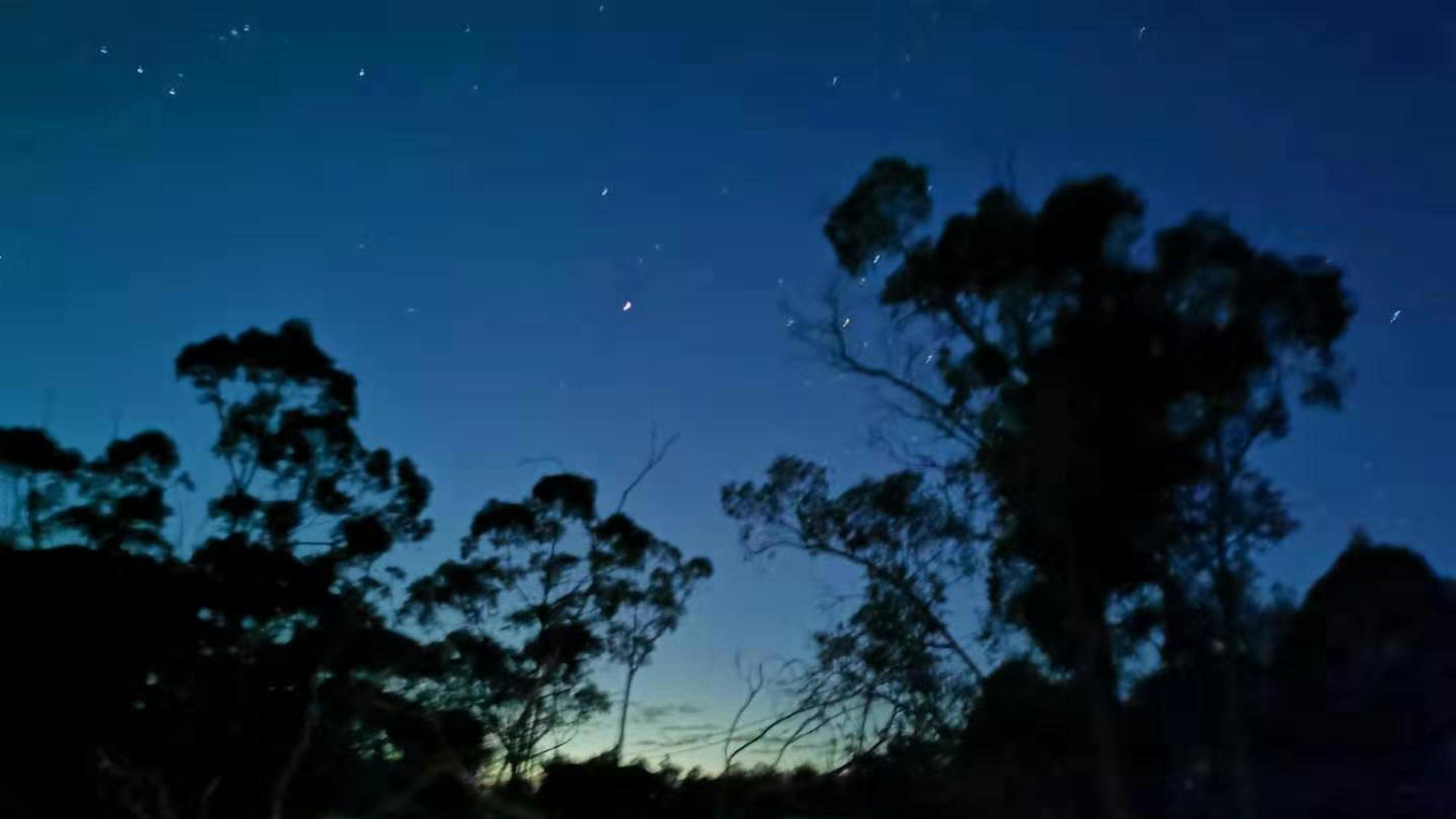Walkabout Wildlife Sanctuary