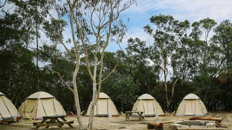 Walkabout Wildlife Sanctuary