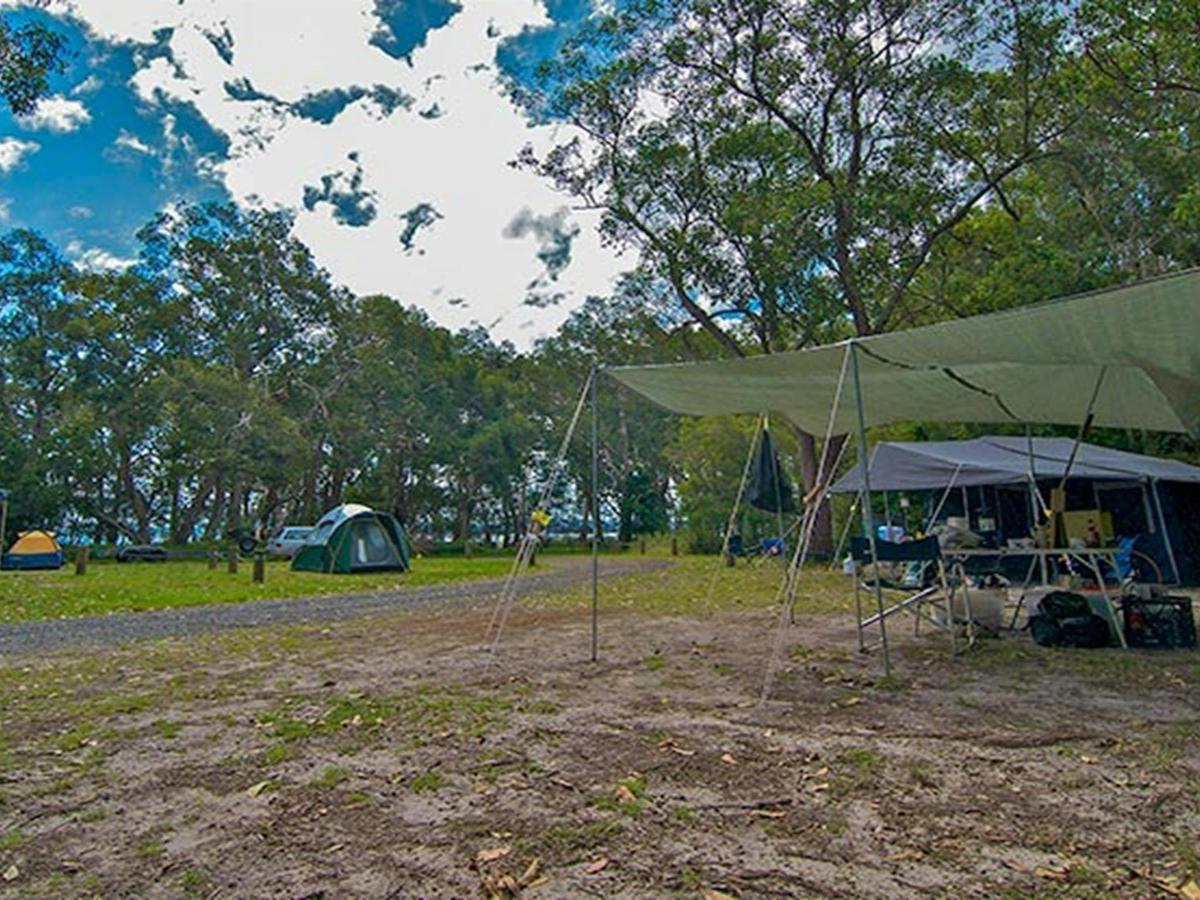 White Tree Bay campground, Myall Lakes National Park. Photo: John Spencer/DPIE