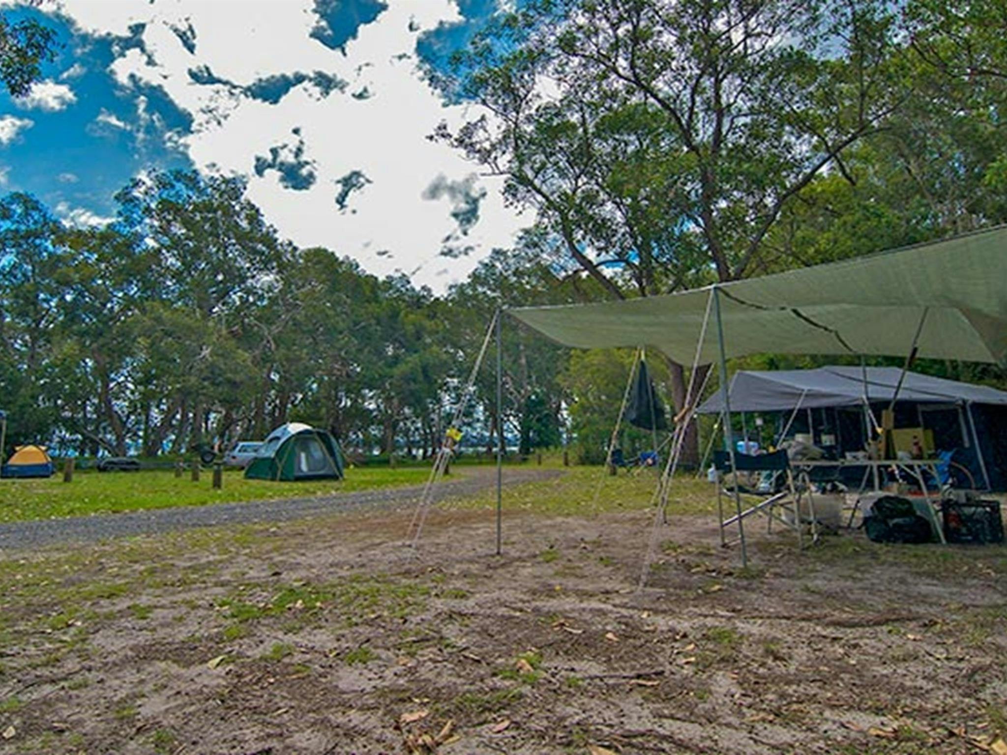 White Tree Bay campground, Myall Lakes National Park. Photo: John Spencer/DPIE
