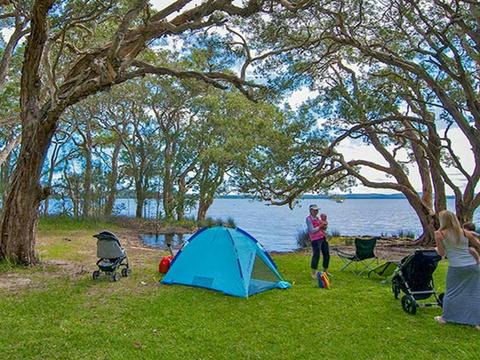 White Tree Bay campground and picnic area