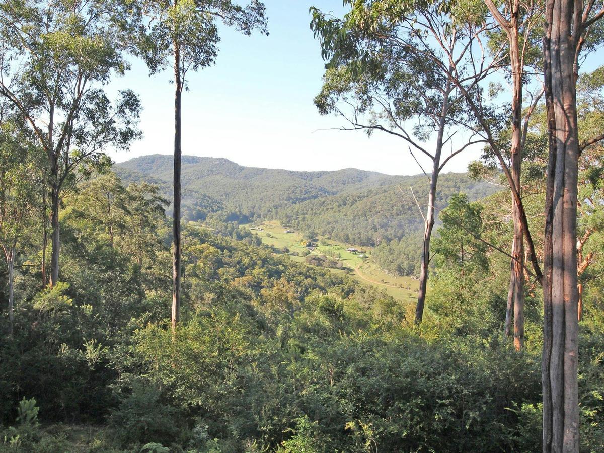 Whispering Forest View