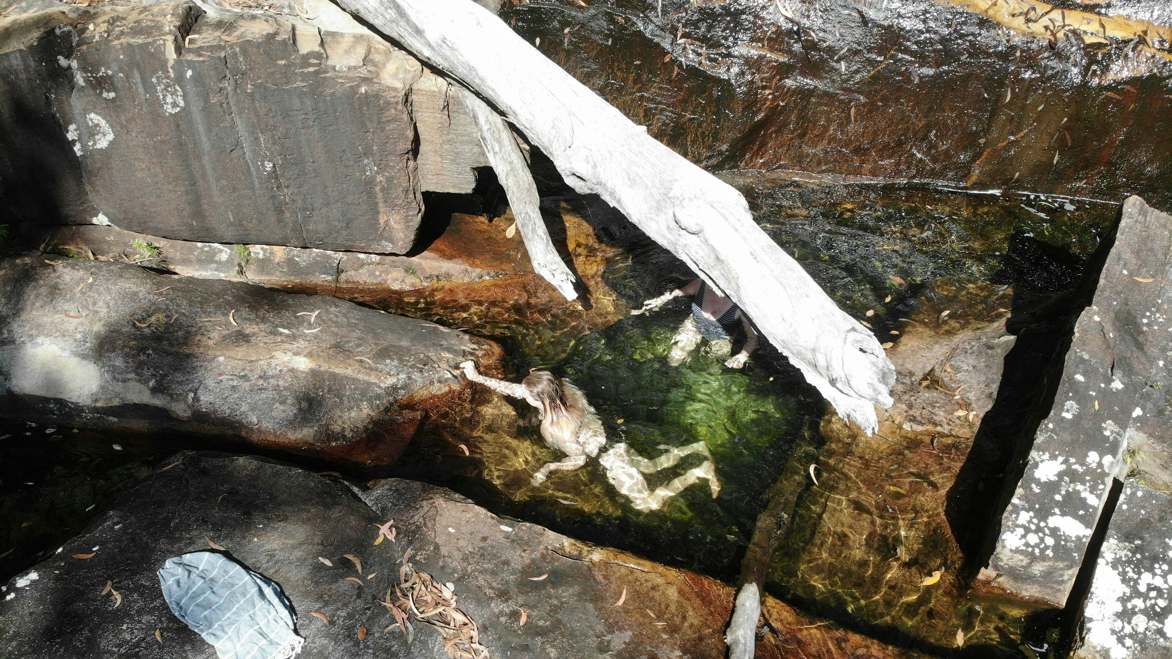 Plunge Pool at The Dance Floor