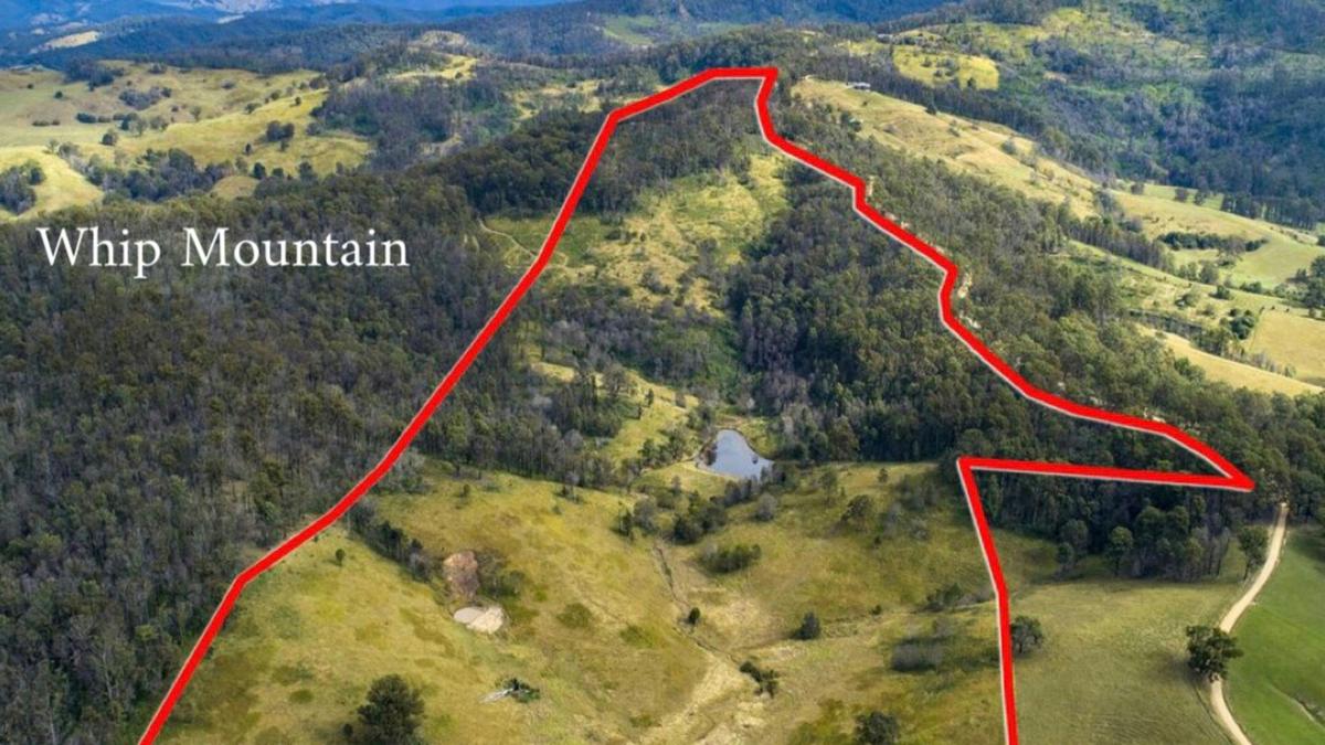 Whip Mountain Farm