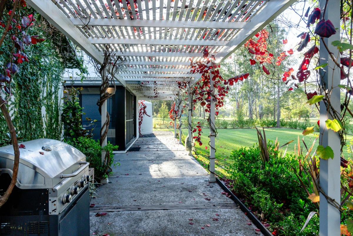 Outdoor Pergola & Yard