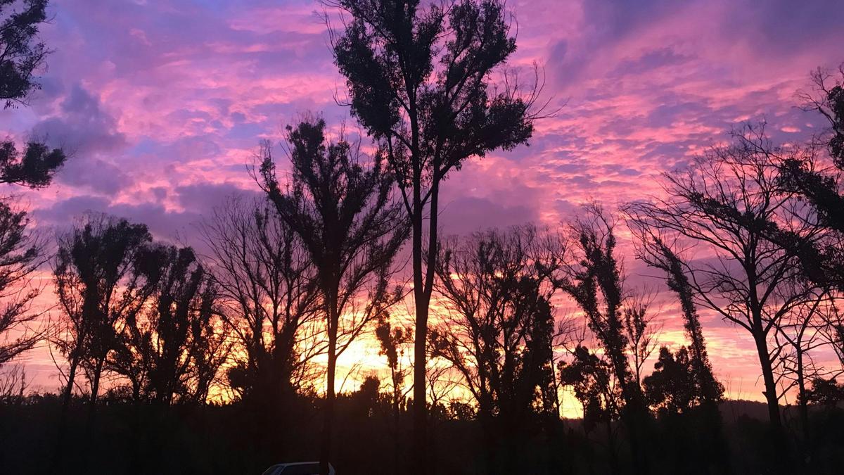 Sunsets