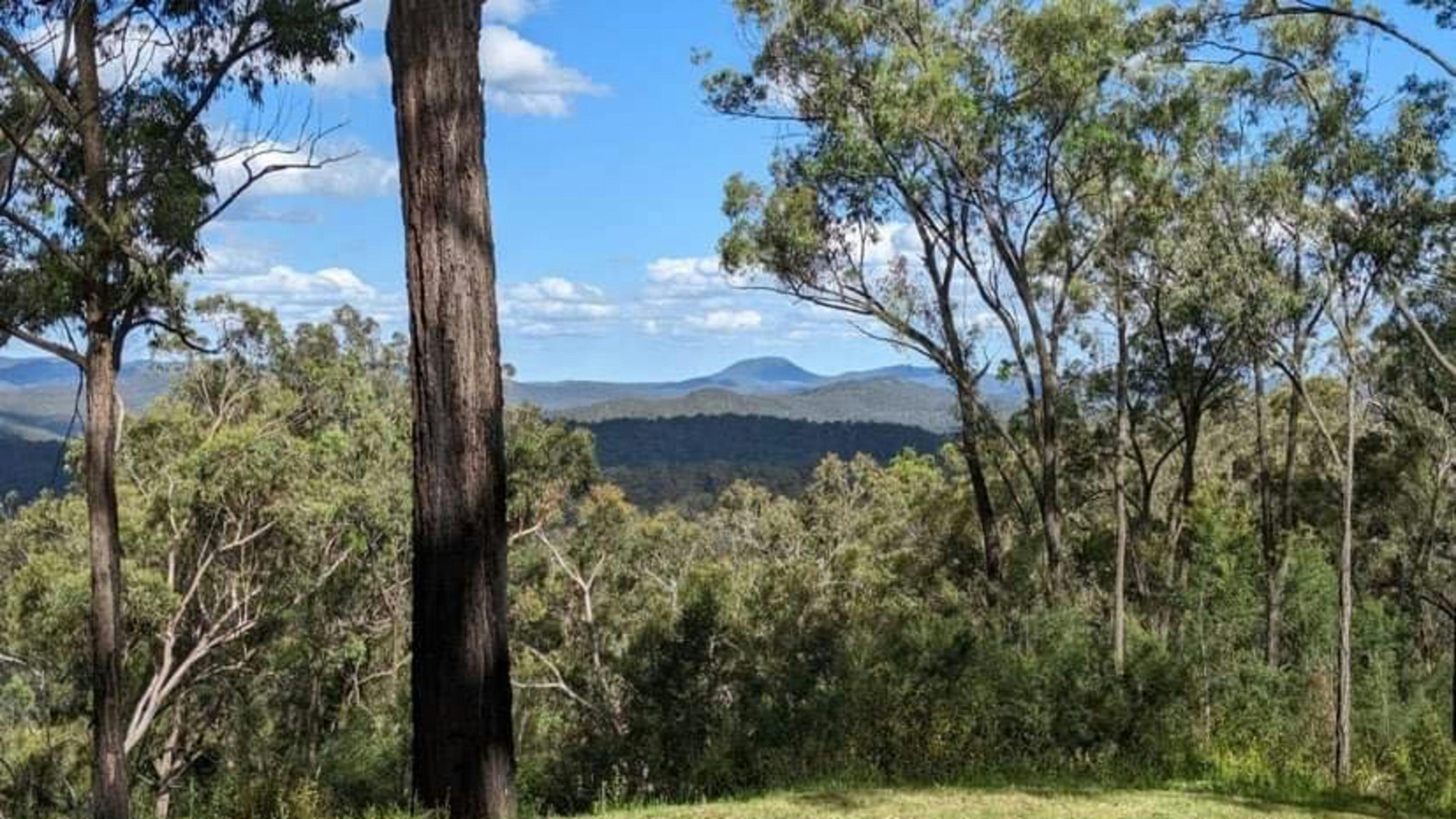 Wollombi Rolling Ridges