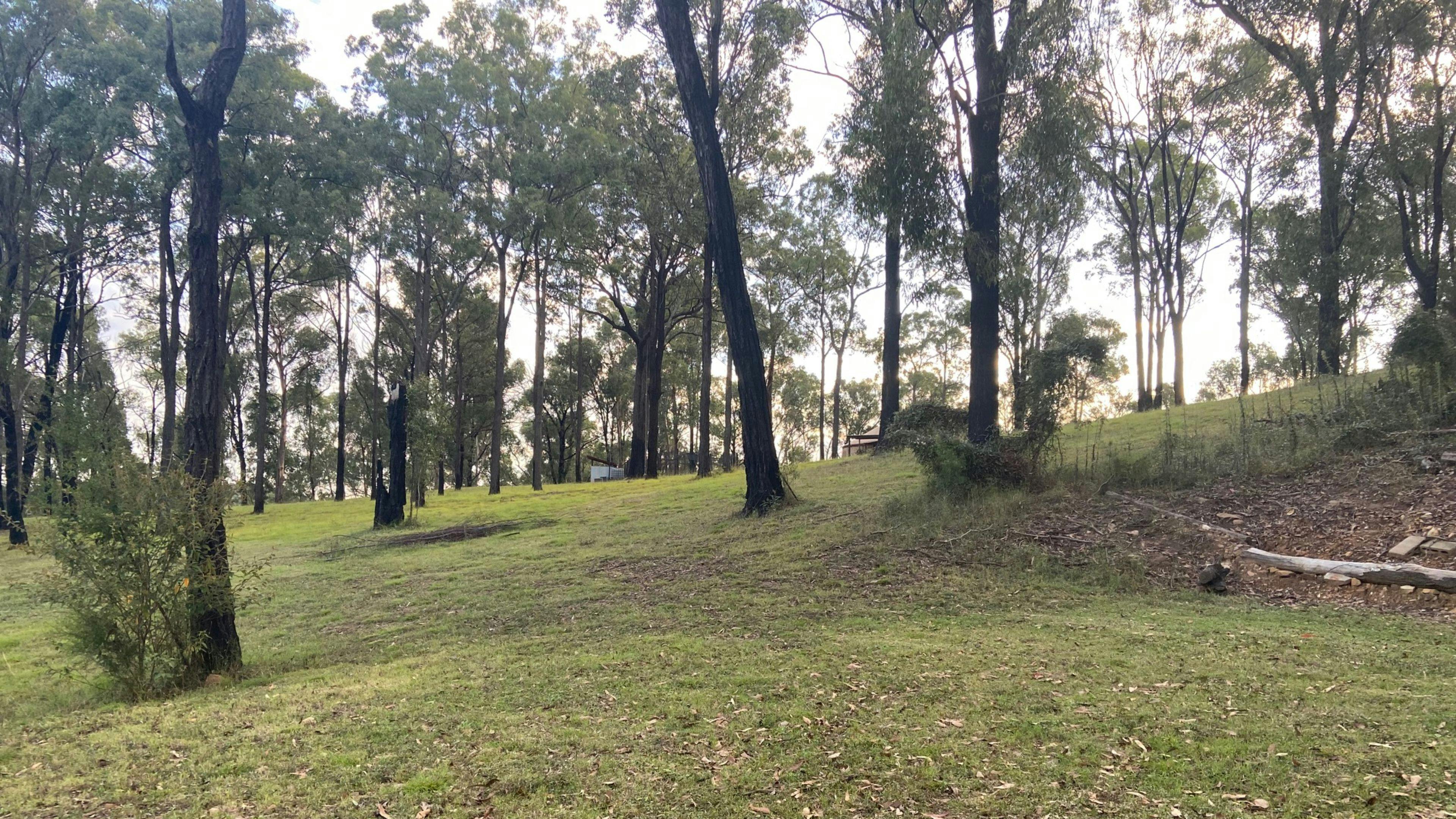 View from pad back towards Yurt & Loo