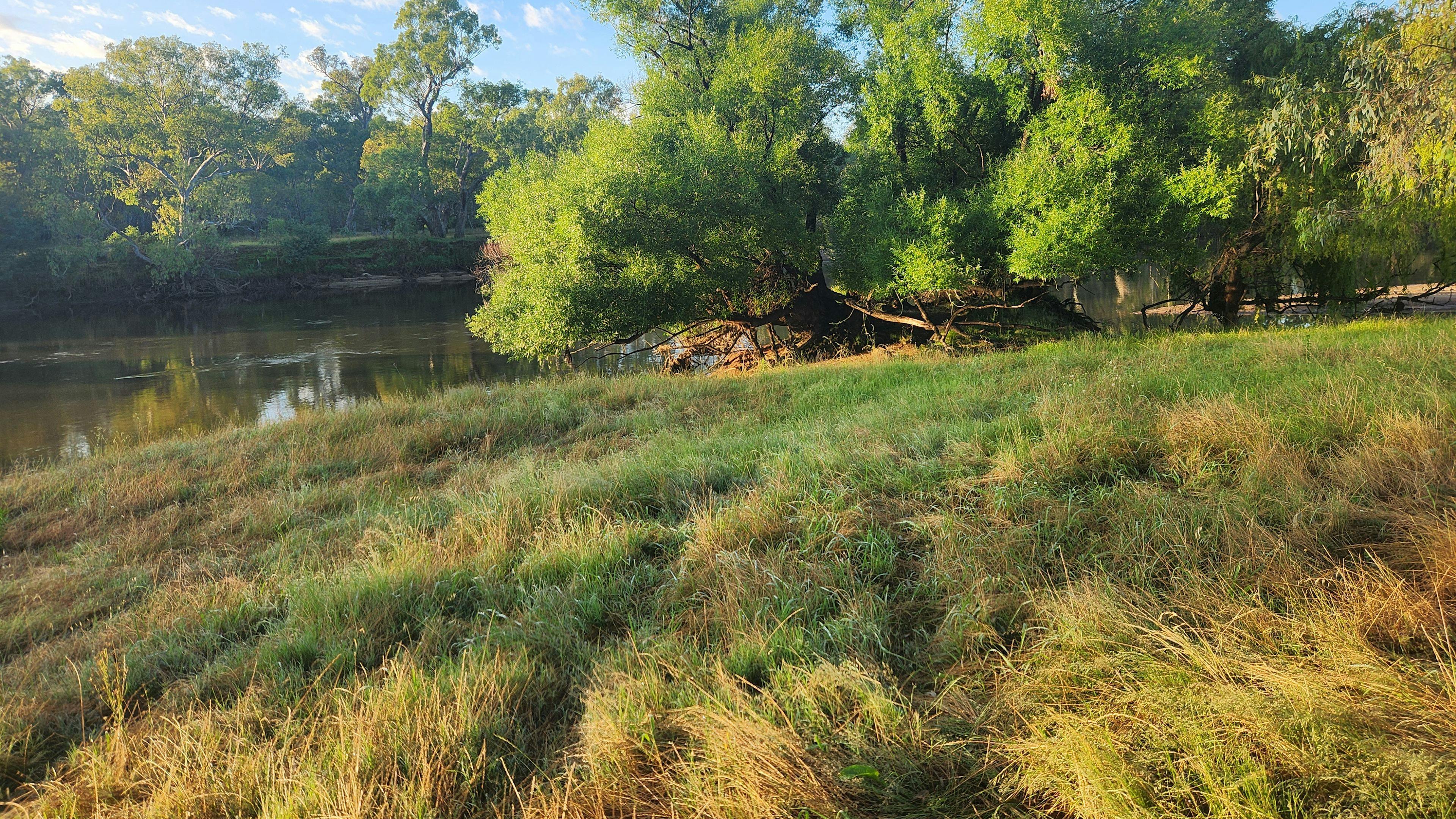 Willowbank on the Murray