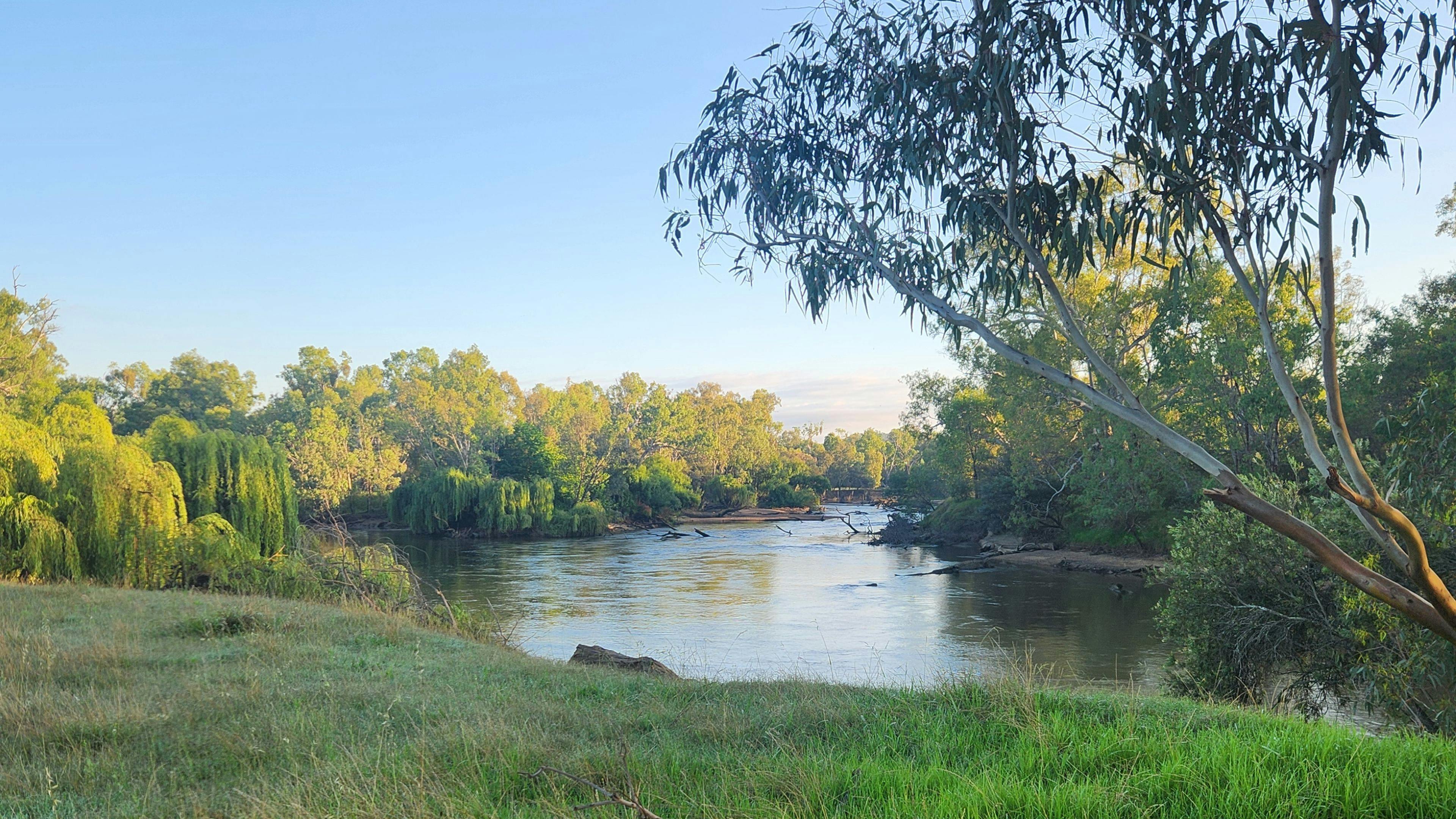 Willowbank on the Murray