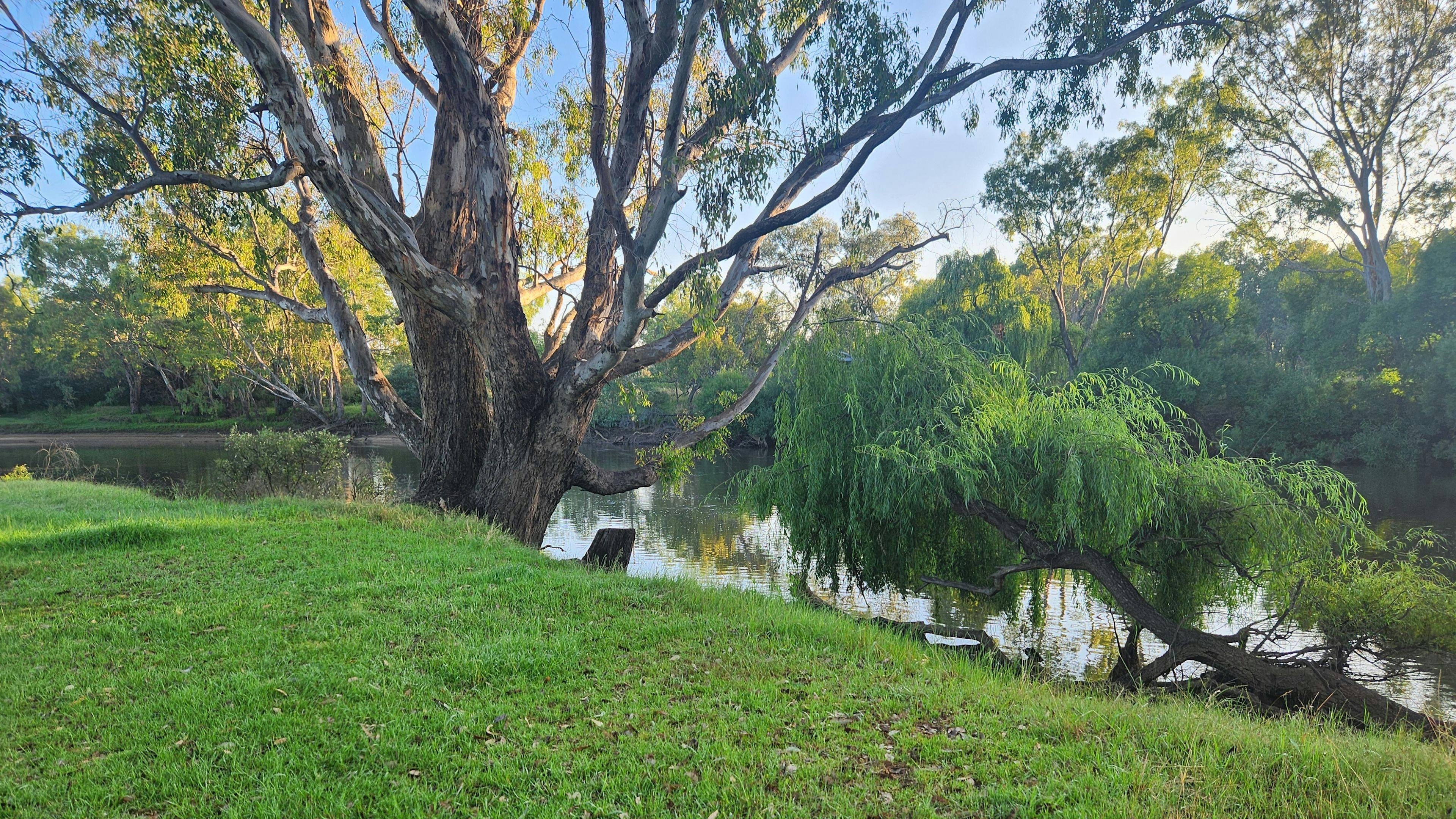 Willowbank on the Murray