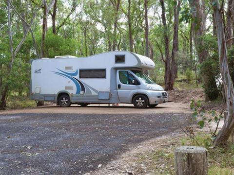 Wollomombi campground