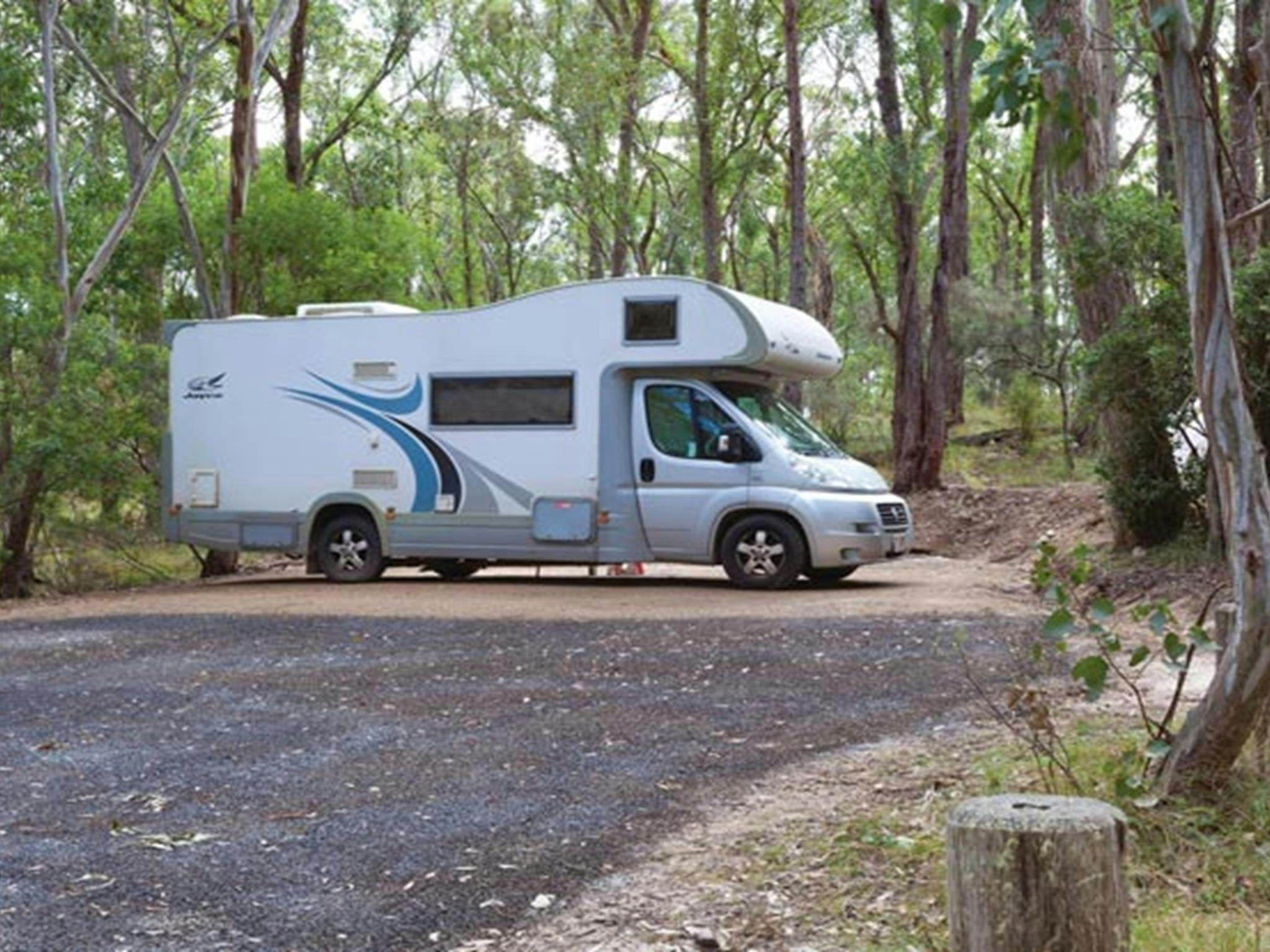 Campervan parked at Wollomombi Campground, Oxley Wild Rivers National Park. Photo: Rob Cleary/DPIE