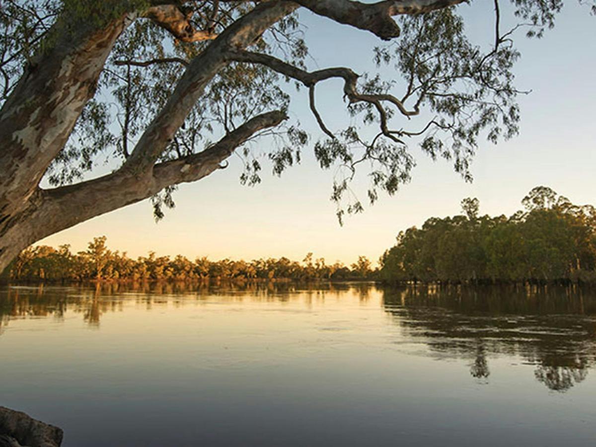 Sunset on the Murray River, Murray Valley National Park. Photo: John Spencer/OEH