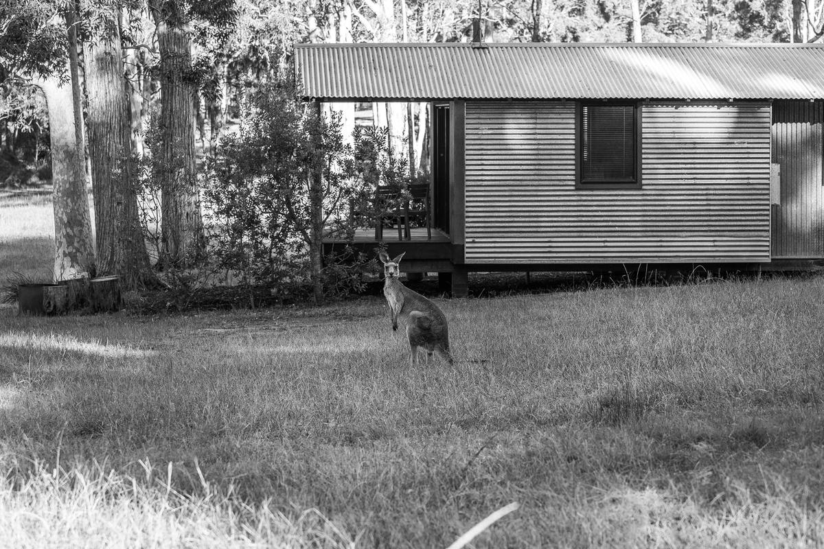 worrowing eco retreat jervis bay