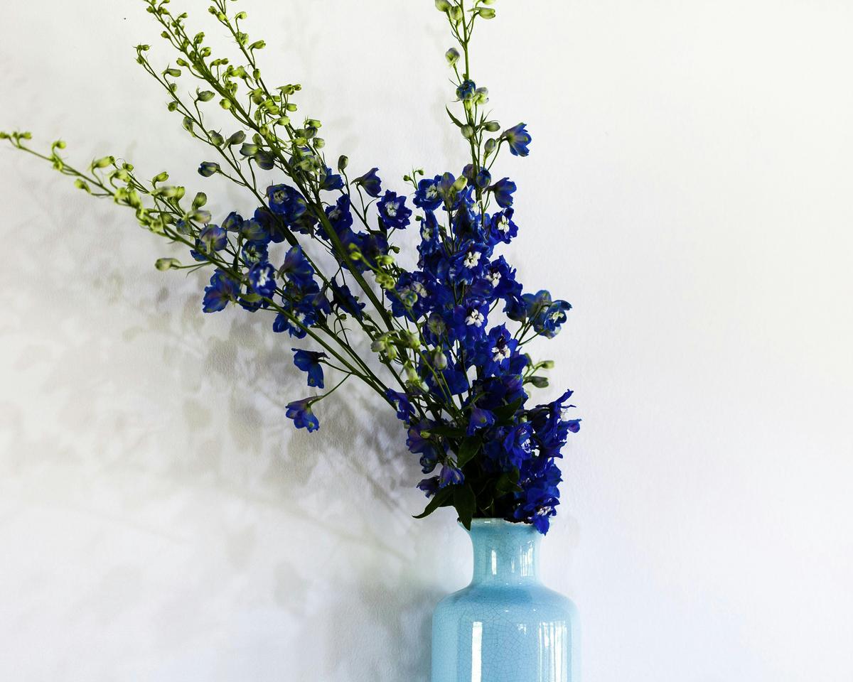 honeymoon accommodation jervis bay