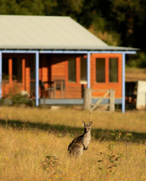 jervis bay national park accommodation