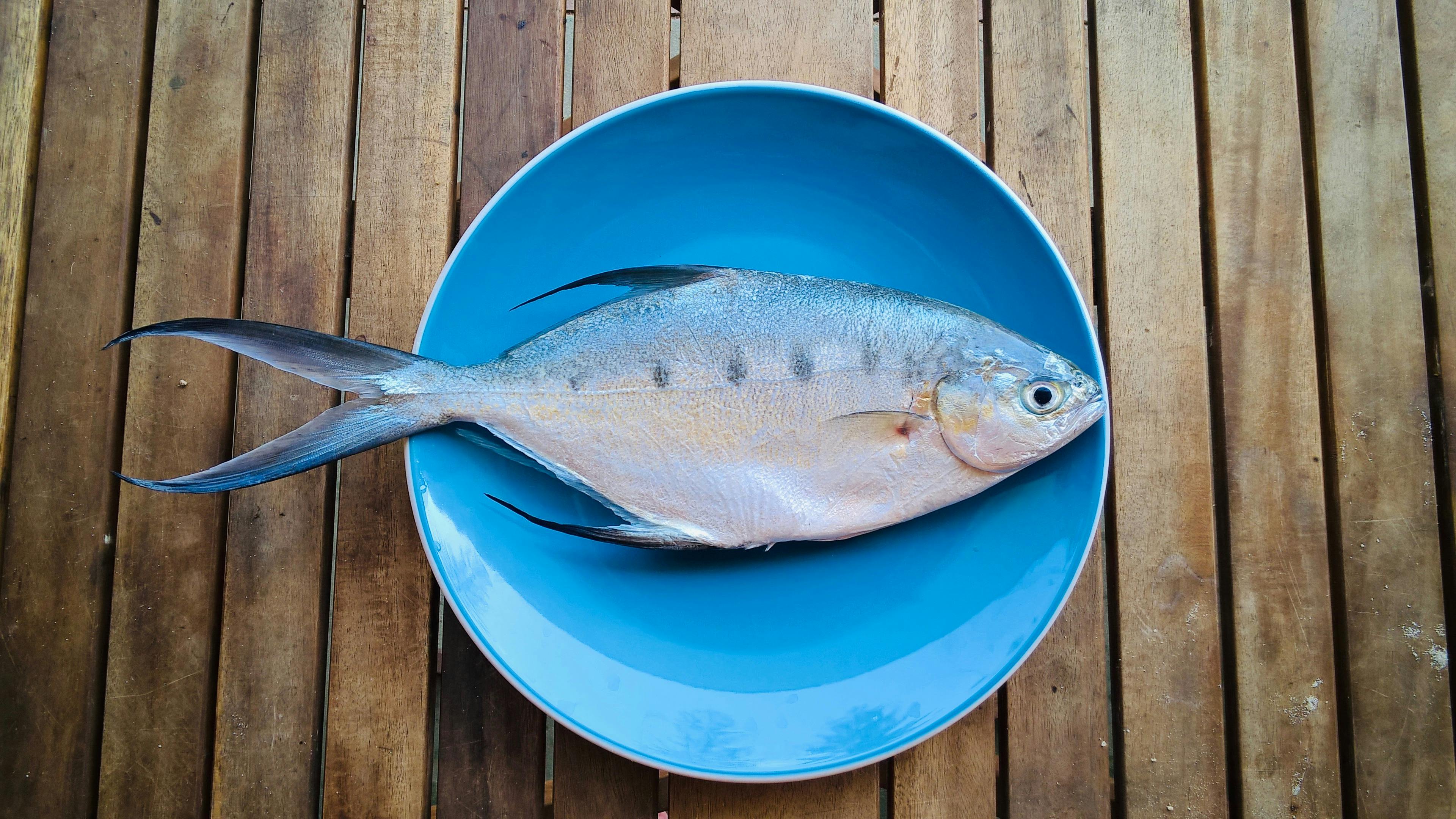 Beach Fishing can be quite rewarding!