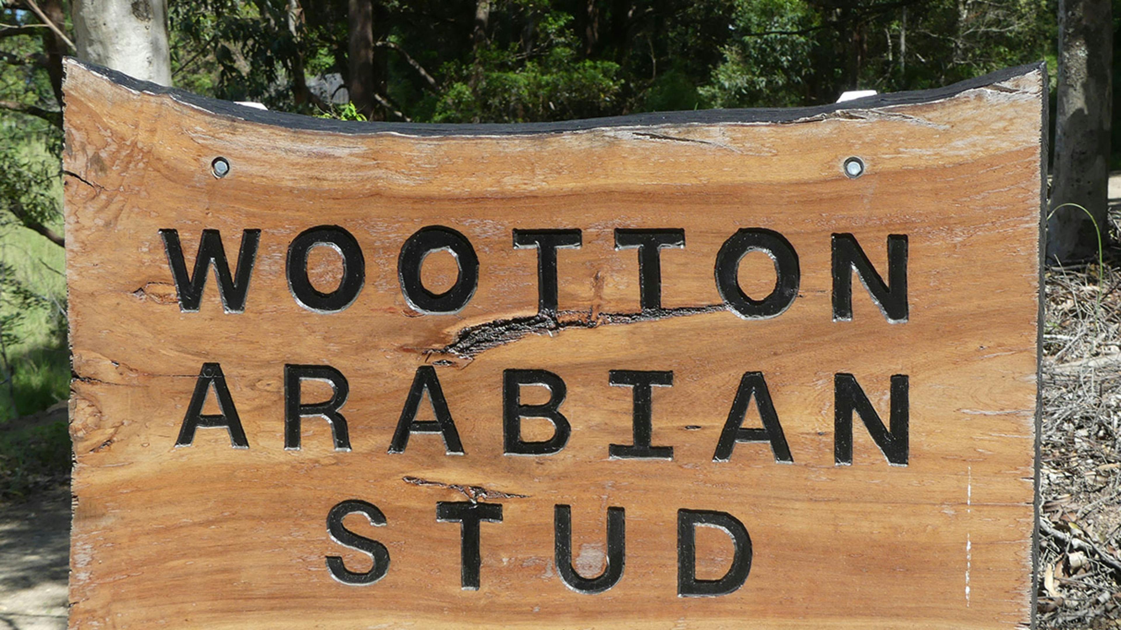 turn right when you see this!