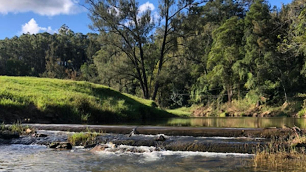 Yarrawin Camping