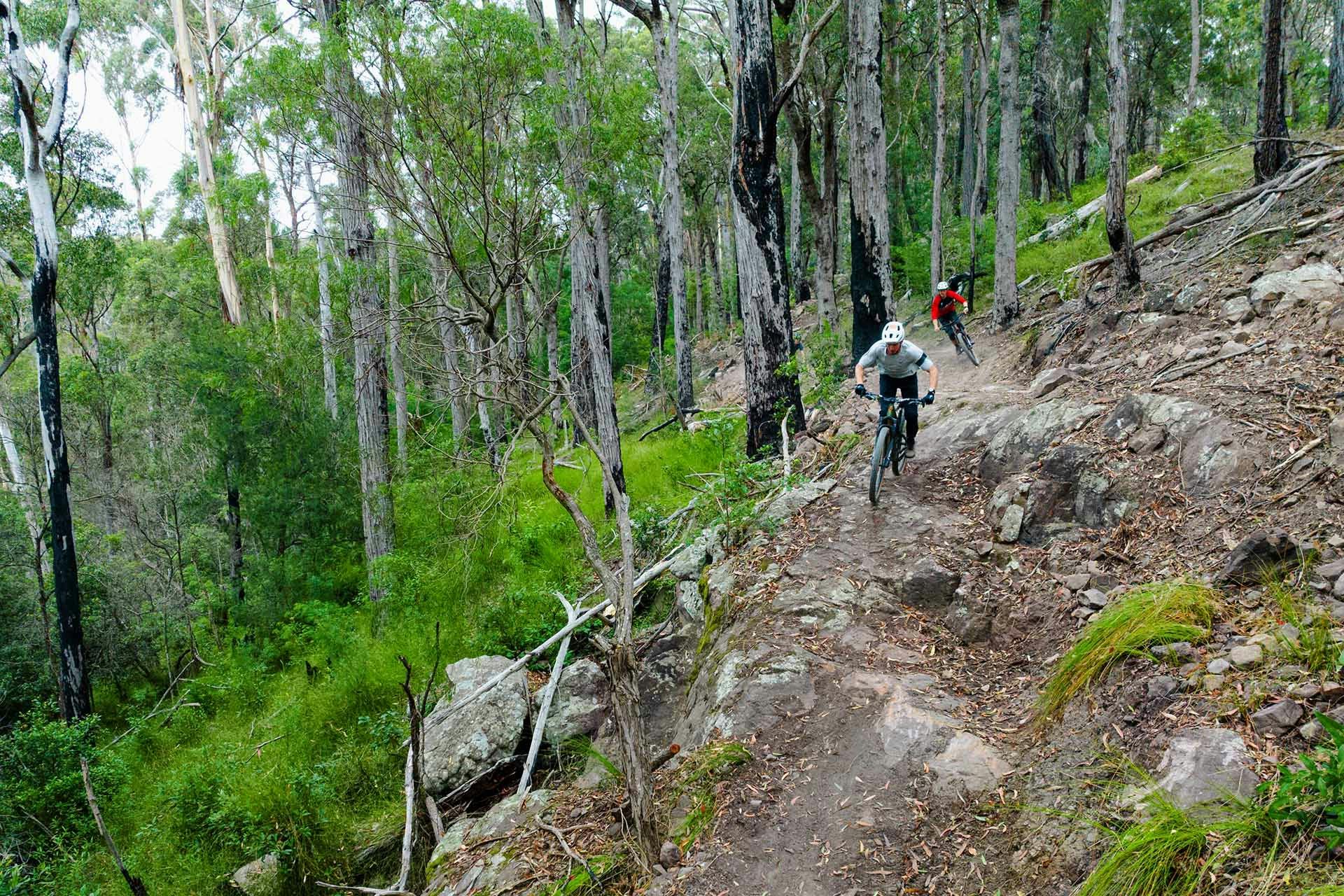 Gravity Eden Mountain Bike Park