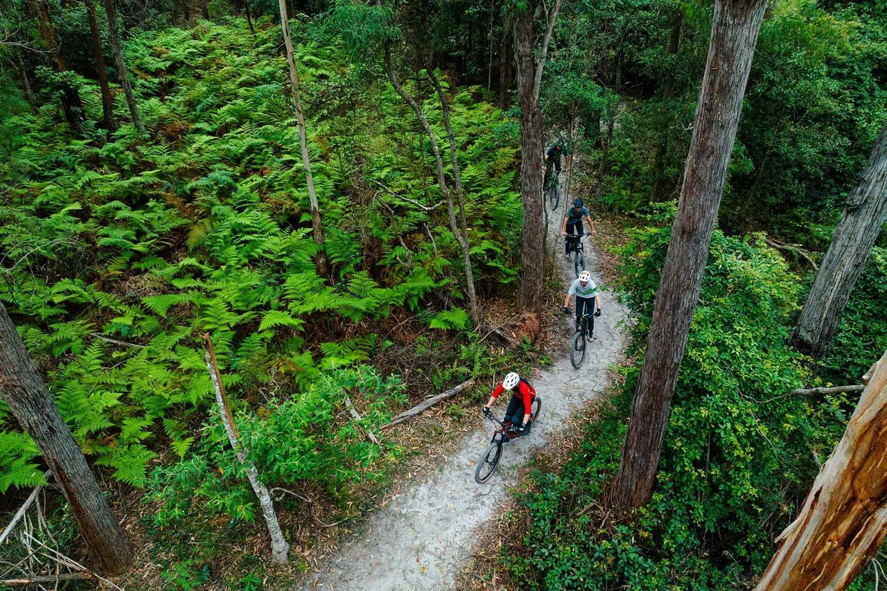 Gravity Eden Mountain Bike Park