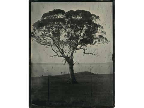 Brenda L Croft  ‘after/image’