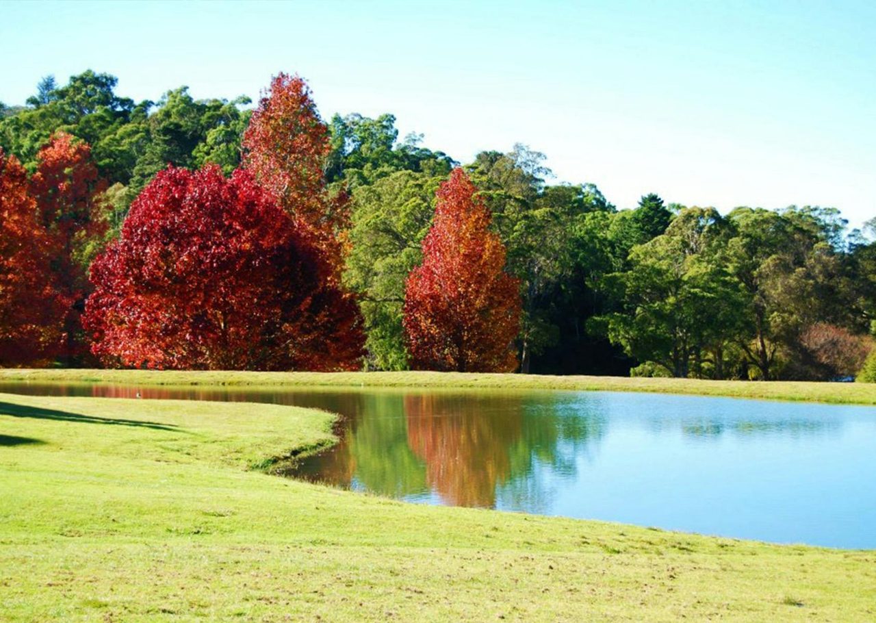 Golf Course