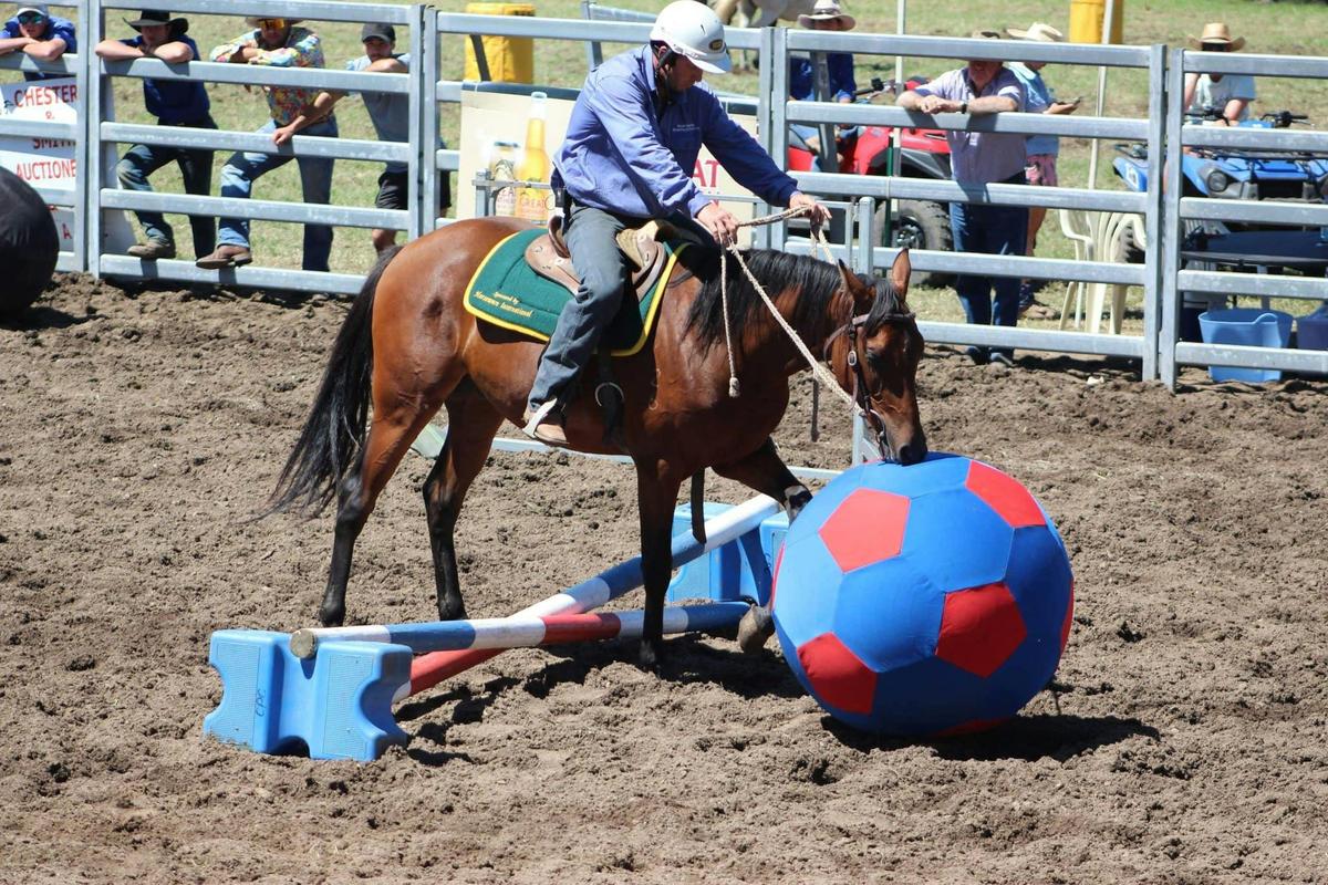 Stock Horse challenge