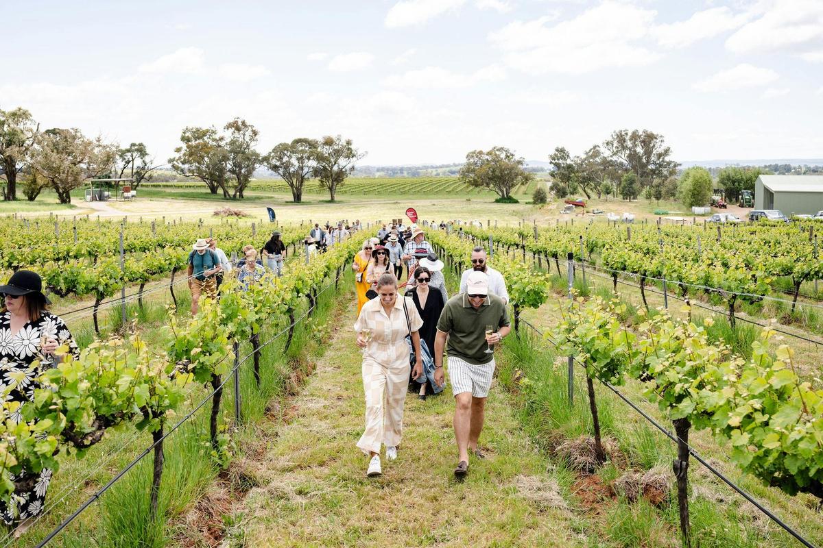 Orange Wine Festival