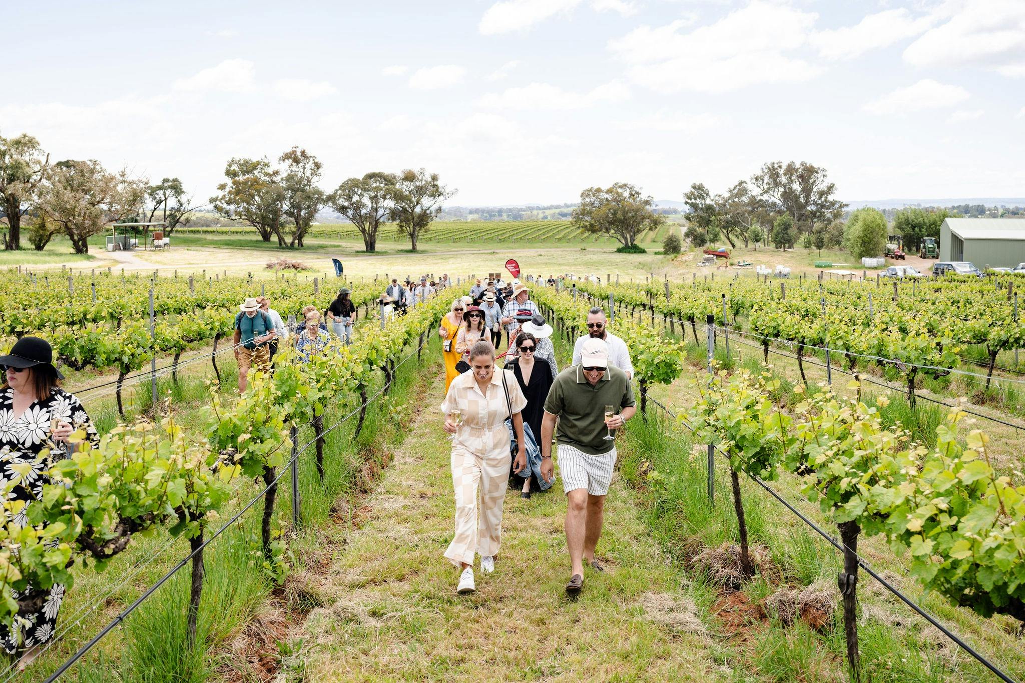 Orange Wine Festival