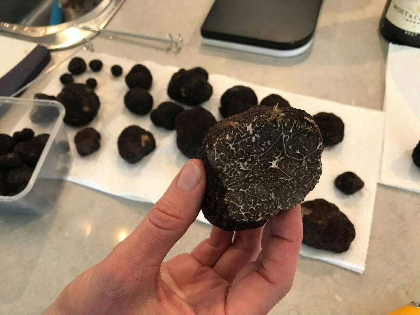 Close up of cut truffle