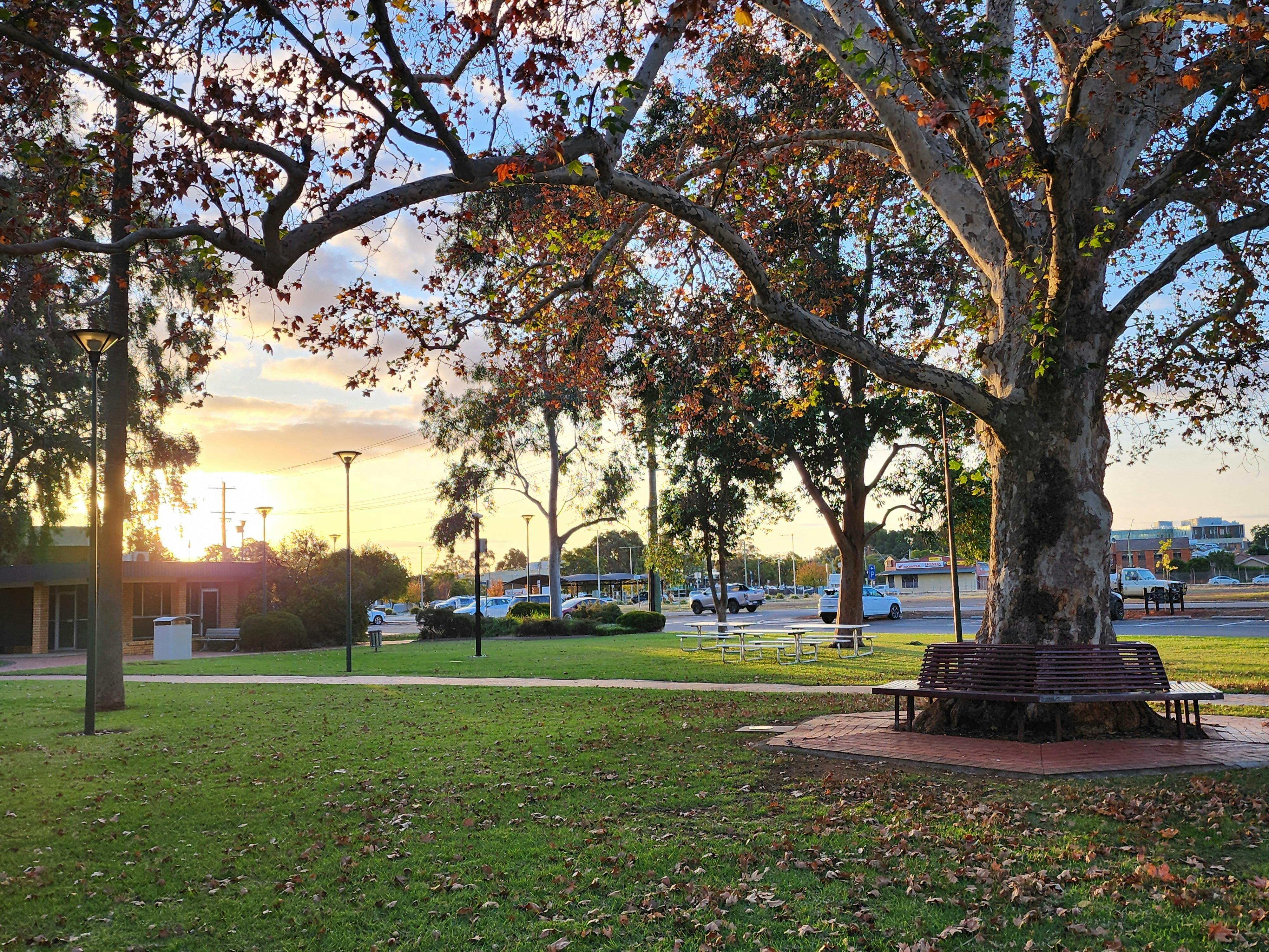 Memorial Park Griffith