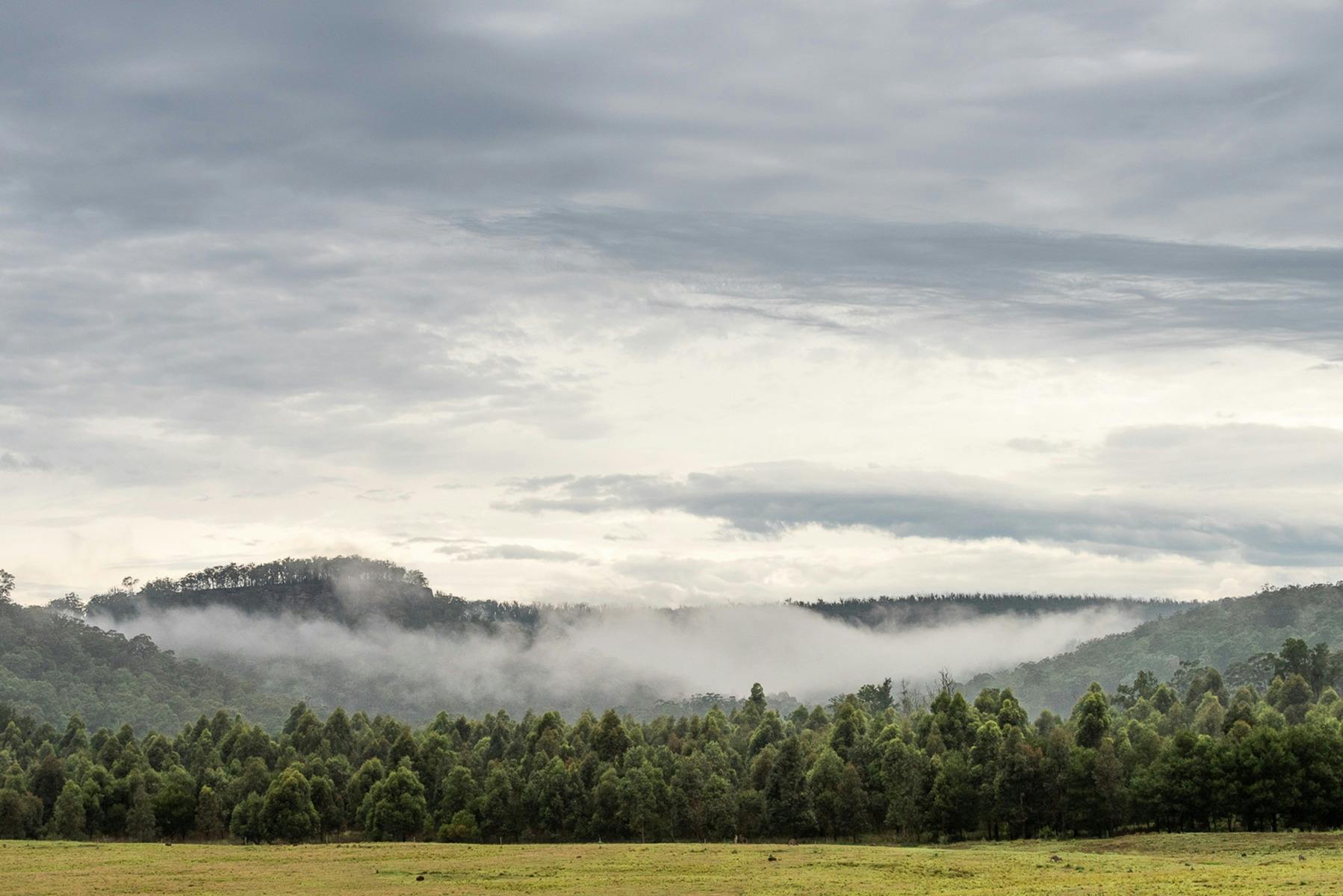 Carbon farming at Bundanon