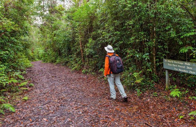 Gibraltar-Washpool World Heritage Walk